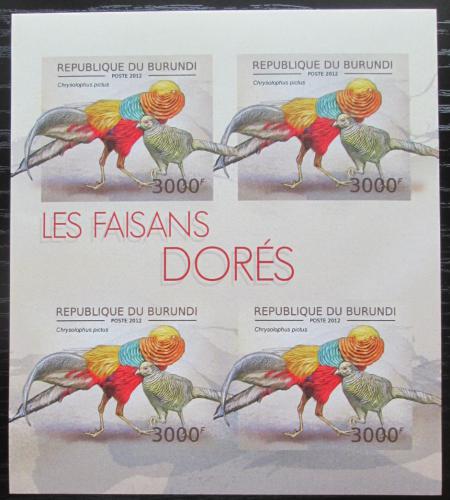 Poštové známky Burundi 2012 Bažant zlatý neperf. Mi# 2795 B Bogen