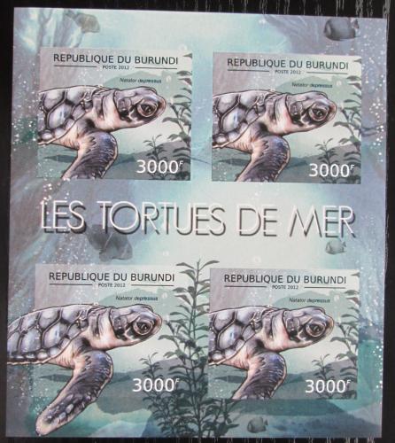 Poštové známky Burundi 2012 Kareta plochá neperf. Mi# 2790 B Bogen