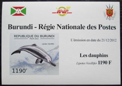 Poštová známka Burundi 2012 Delfínovec èínský DELUXE Mi# 2844 B Block