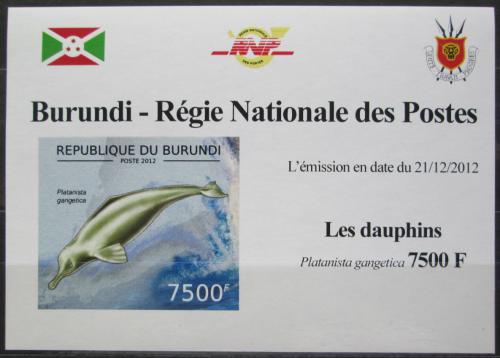 Poštová známka Burundi 2012 Delfínovec ganžský DELUXE Mi# 2847 B Block