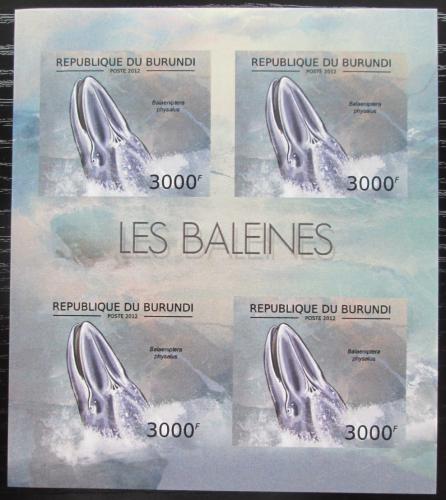 Poštové známky Burundi 2012 Plejtvák myšok neperf. Mi# 2840 B Bogen