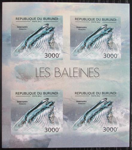 Poštové známky Burundi 2012 Plejtvák obrovský neperf. Mi# 2841 B Bogen 