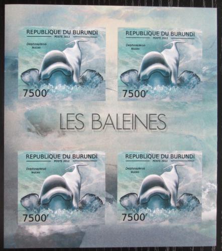 Poštové známky Burundi 2012 Bìluha severní neperf. Mi# 2842 B Bogen