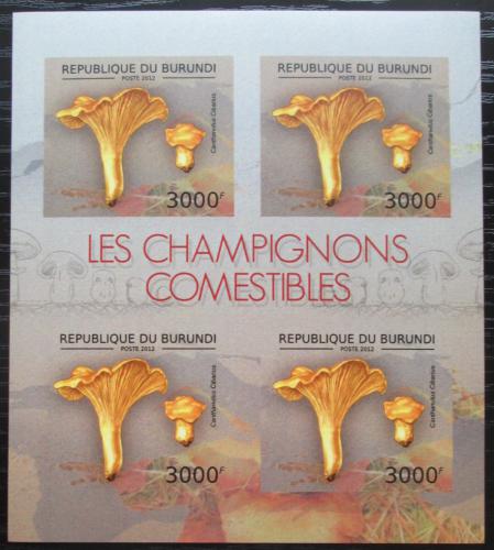Poštové známky Burundi 2012 Liška obecná neperf. Mi# 2740 B Bogen