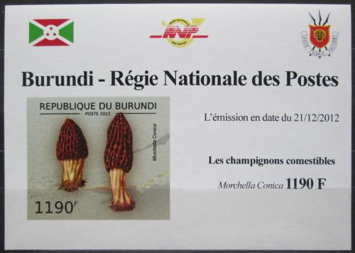 Poštová známka Burundi 2012 Smrž kuželovitý DELUXE Mi# 2739 B Block