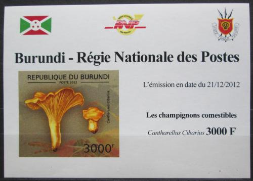 Poštová známka Burundi 2012 Liška obecná DELUXE Mi# 2740 B Block