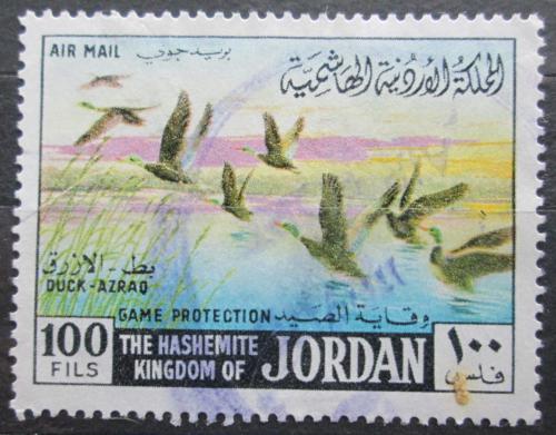 Poštová známka Jordánsko 1968 Kaèica divoká Mi# 690 Kat 9.50€