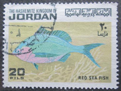 Poštová známka Jordánsko 1974 Ryba, Geraes oyena Mi# Mi# 899