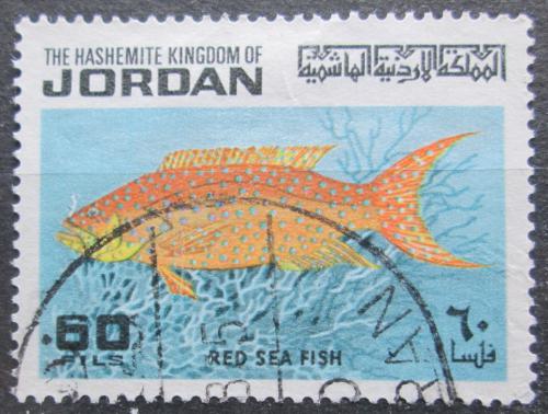 Poštová známka Jordánsko 1974 Ryba, Variola louti Mi# Mi# 906