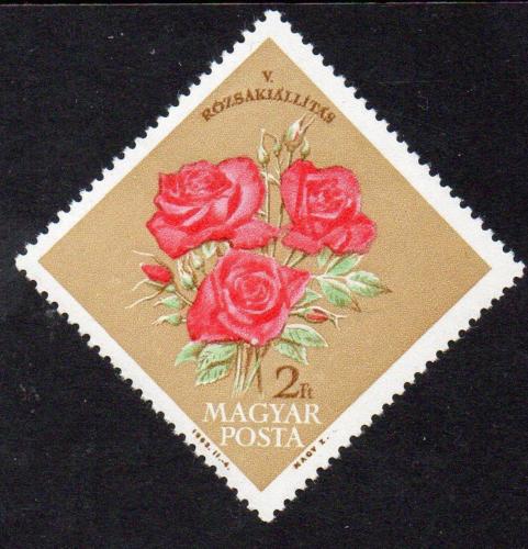 Poštová známka Maïarsko 1963 Výstava rùží Mi# 1922