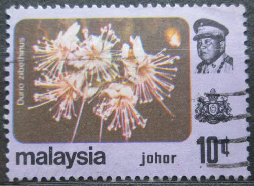 Poštová známka Malajsie, Johor 1979 Kvety Mi# 171 X