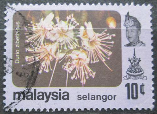 Poštová známka Malajsie, Selangor 1979 Kvety Mi# 115