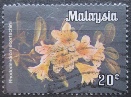 Poštová známka Malajsie 1979 Rhododendron scortechinii Mi# 6 X 