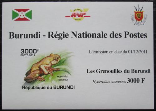 Poštová známka Burundi 2011 Žába neperf. DELUXE Mi# 2064 B Block 