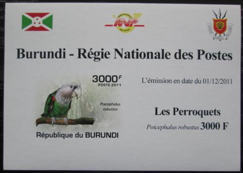 Poštová známka Burundi 2011 Papoušek kapský neperf. DELUXE Mi# 1976 B Block