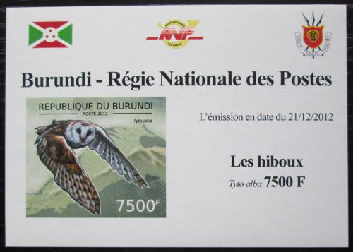 Poštová známka Burundi 2012 Sova pálená neperf. DELUXE Mi# 2812 B Block 