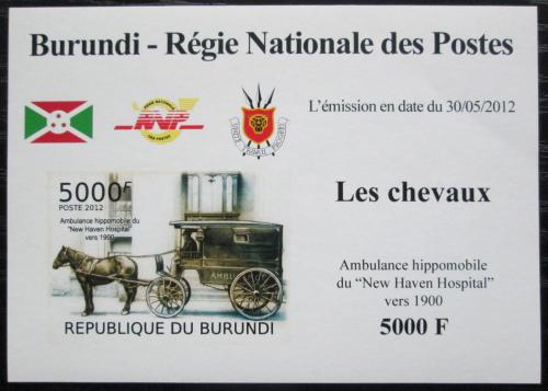 Poštová známka Burundi 2012 Nemocnièní dostavník neperf. DELUXE Mi# 2404 B Block