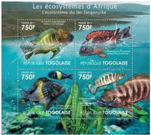 Poštové známky Togo 2011 Ryby jezera Tanganyika Mi# 4181-84 Kat 12€