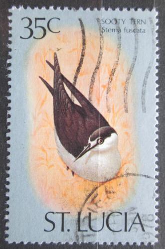 Poštová známka Svätá Lucia 1976 Rybák èernohøbetý Mi# 390