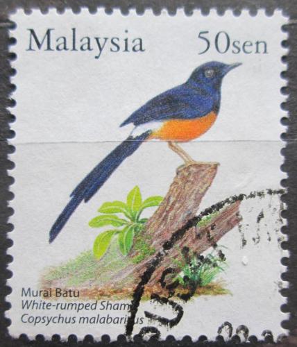 Poštová známka Malajsie 2005 Šáma bìloøitná Mi# 1314