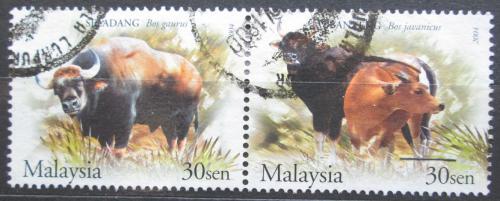 Poštové známky Malajsie 2004 Místní fauna Mi# 1253-54