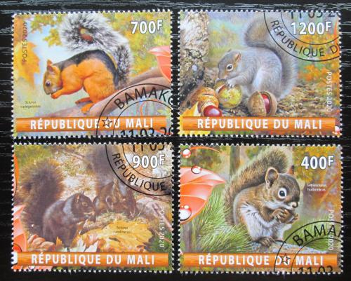 Poštové známky Mali 2020 Veverky Mi# N/N