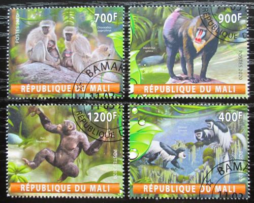 Poštové známky Mali 2020 Opice Mi# N/N