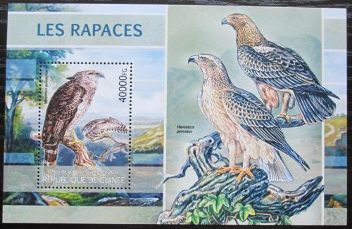 Poštová známka Guinea 2013 Dravci Mi# Block 2208 Kat 16€