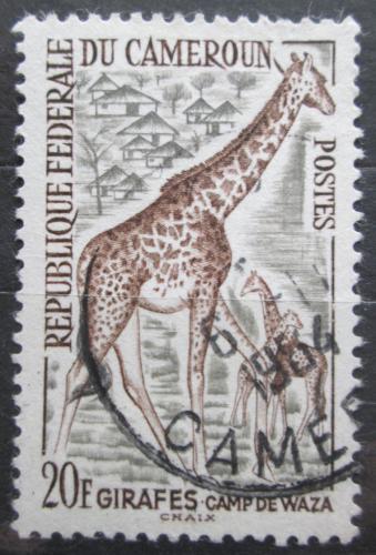 Poštová známka Kamerun 1962 Žirafa Mi# 366