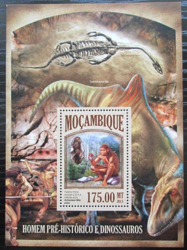 Poštová známka Mozambik 2013 Život v praveku Mi# Block 802 Kat 10€