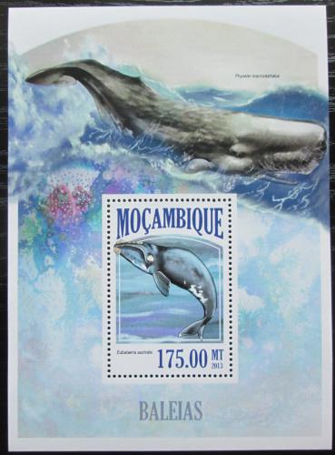 Poštová známka Mozambik 2013 Ve¾ryby Mi# Block 805 Kat 10€