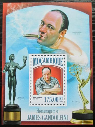 Poštová známka Mozambik 2013 James Gandolfini, herec Mi# Block 815 Kat 10€