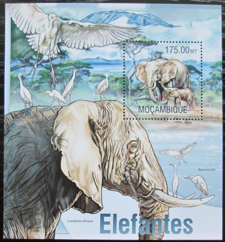 Poštová známka Mozambik 2013 Slony Mi# Block 779 Kat 10€