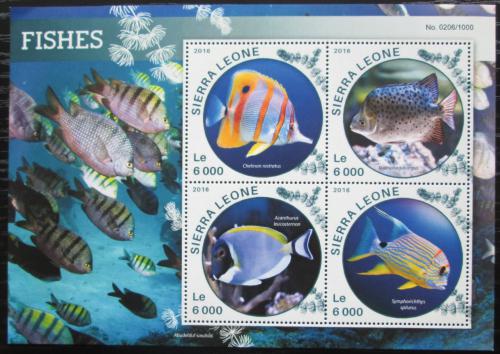 Poštové známky Sierra Leone 2016 Delfíny Mi# 6873-76 Kat 11€ 