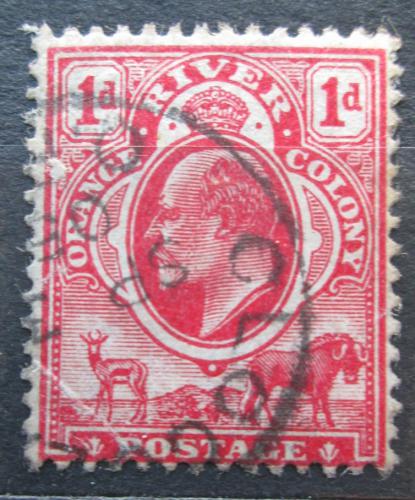Poštová známka Oranžský stát 1905 Krá¾ Edward VII. Mi# 49