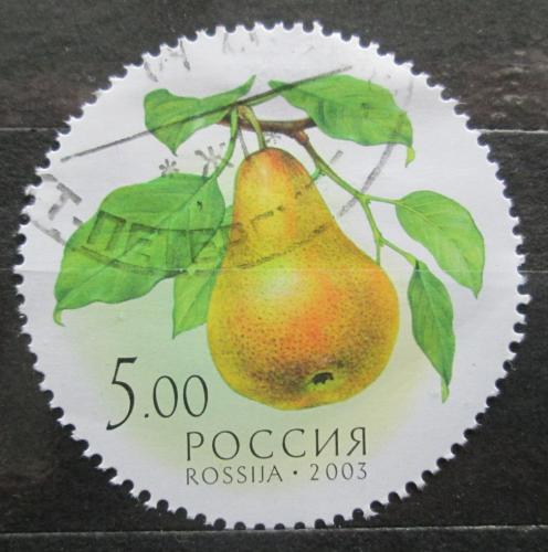 Poštová známka Rusko 2003 Hruška Mi# 1114