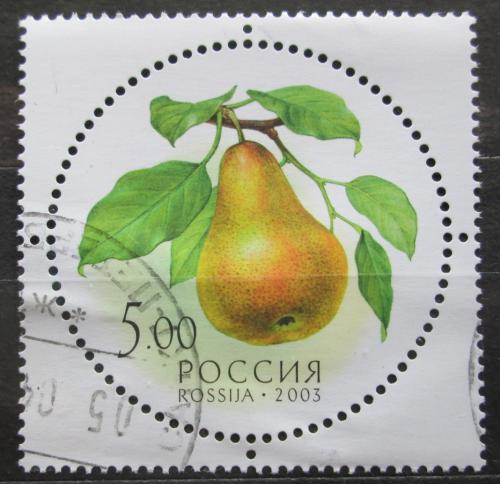 Poštová známka Rusko 2003 Hruška Mi# 1114