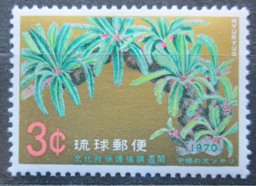 Poštová známka Rjúkjú 1970 Cykas japonský Mi# 232