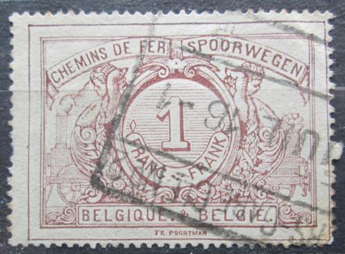 Poštová známka Belgicko 1895 Nominál, balíková Mi# 22