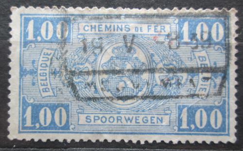 Poštová známka Belgicko 1928 Štátny znak, balíková Mi# 160