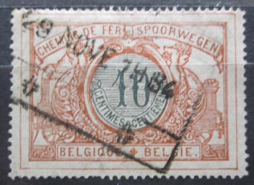 Poštová známka Belgicko 1902 Nominál, balíková Mi# 28
