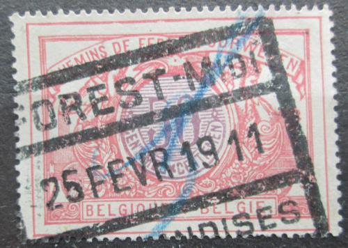 Poštová známka Belgicko 1902 Nominál, balíková Mi# 34