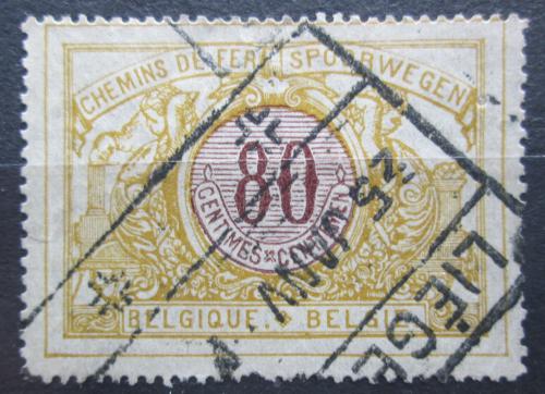 Poštová známka Belgicko 1902 Nominál, balíková Mi# 37