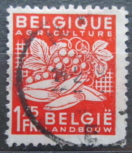 Poštová známka Belgicko 1948 Ovocie a zelenina Mi# 806