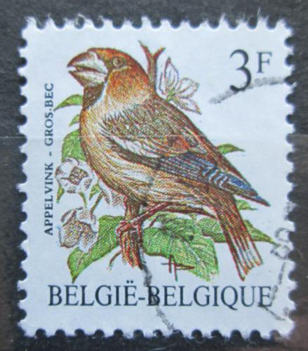 Poštová známka Belgicko 1985 Dlask tlustozobý Mi# 2241