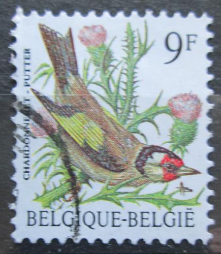 Poštová známka Belgicko 1985 Stehlík obecný Mi# 2242