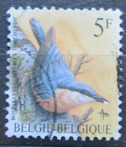 Poštová známka Belgicko 1988 Brhlík lesní Mi# 2346 