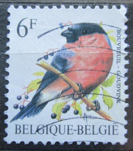 Poštová známka Belgicko 1988 Hýl obecný Mi# 2347