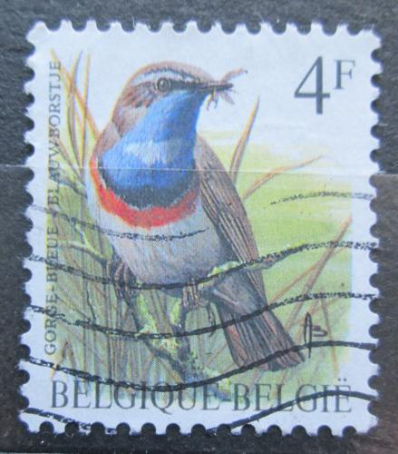 Poštová známka Belgicko 1989 Slavík modráèek Mi# 2373 