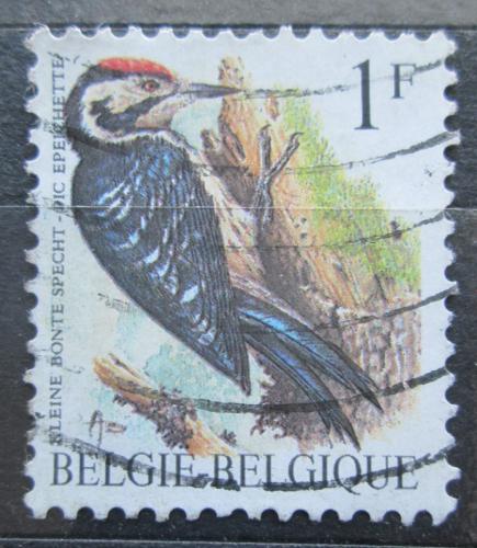 Poštová známka Belgicko 1990 Strakapoud malý Mi# 2401